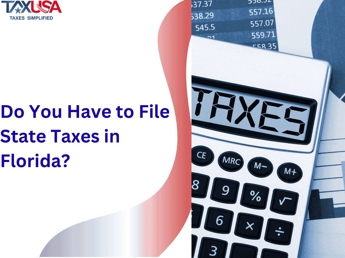 Do You Have to File State Taxes in Florida