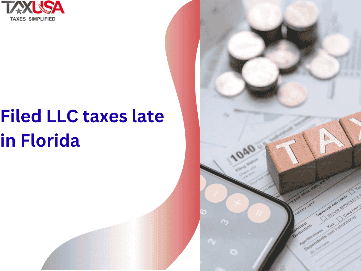 Filed LLC taxes late in Florida